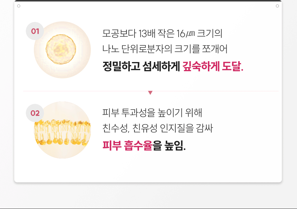 세포