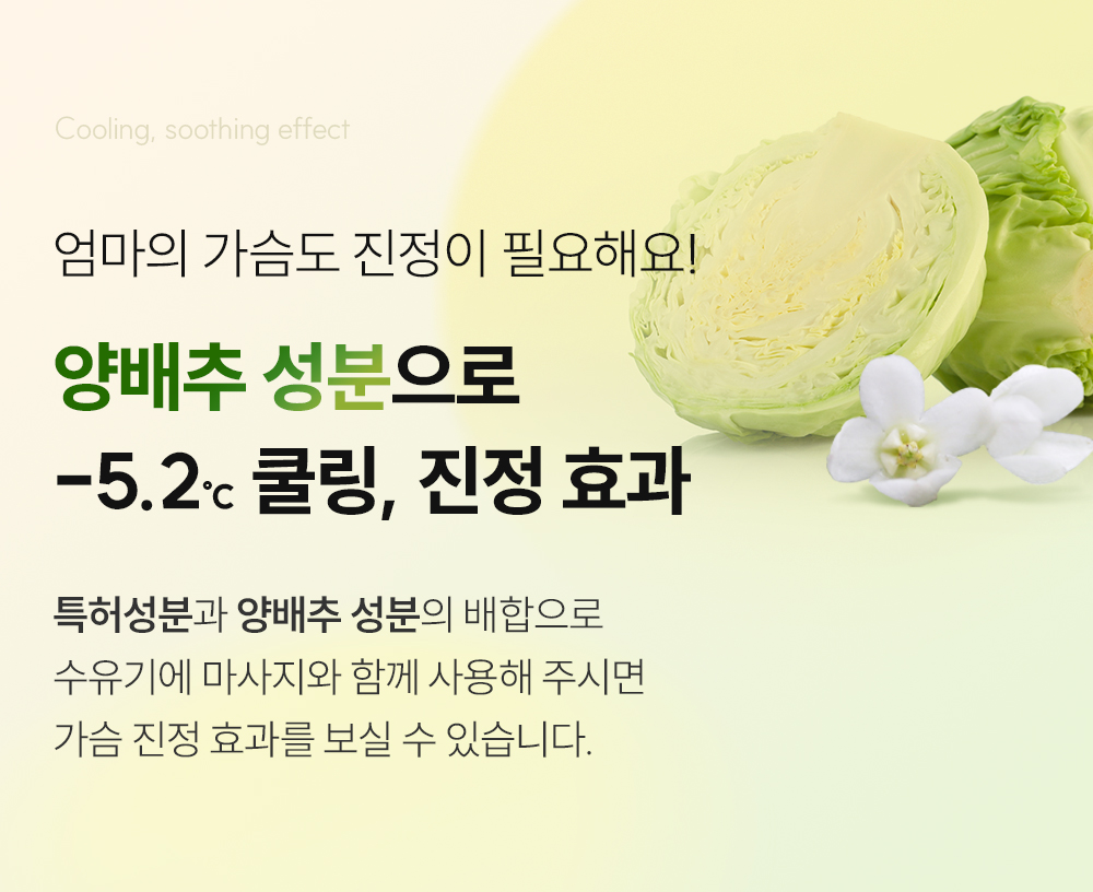양배추성분