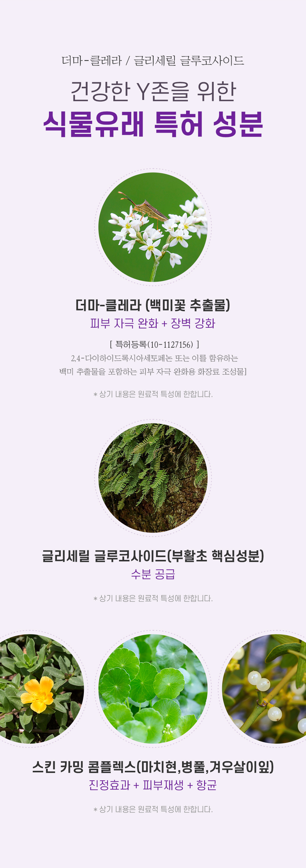 식물
